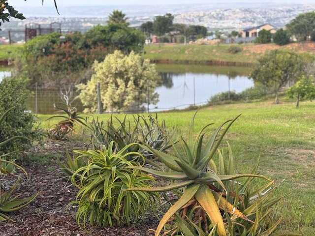 0 Bedroom Property for Sale in Monte Christo Western Cape